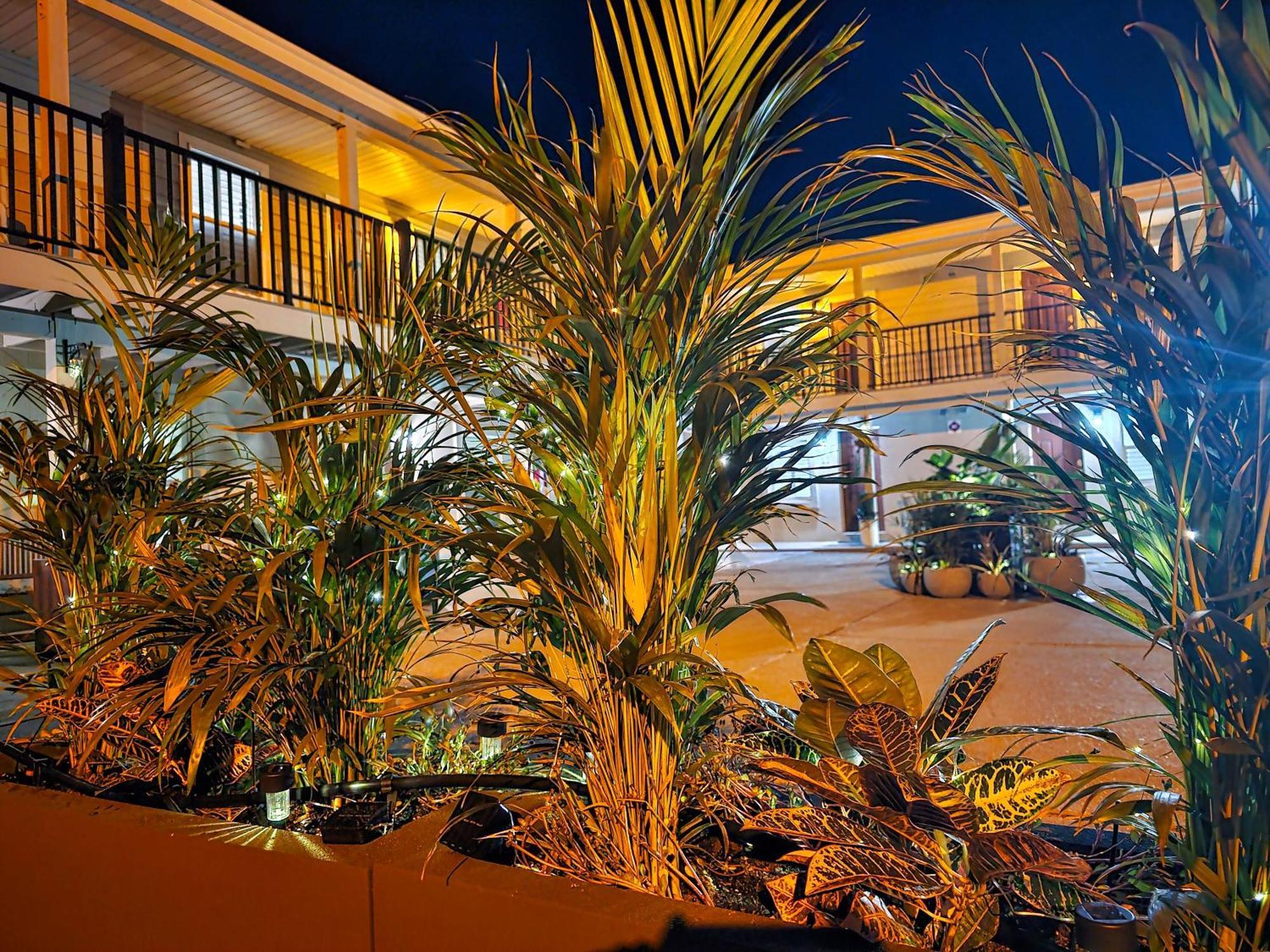 Beach 5 Villas On Amelia Island Steps To The Ocean 퍼난디나 비치 외부 사진